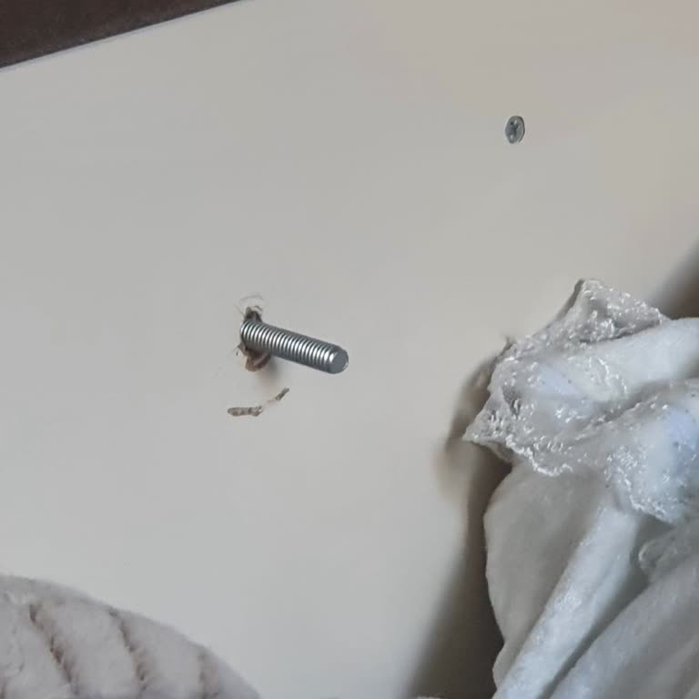 Ladin Mobilya'nın İlgisizliği Ve Çözülmeyen Baza Sorunu