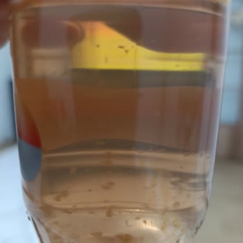 Greyfurtlu İçecekte Beklenmedik Partiküller