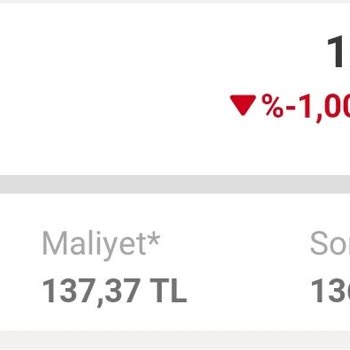 Temettü Sonrası Maliyet Sorunu
