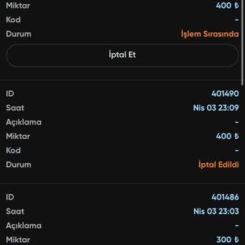 Elizabet Yatırımda Hayal Kırıklığı