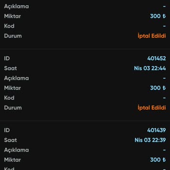 Elizabet Yatırımda Hayal Kırıklığı