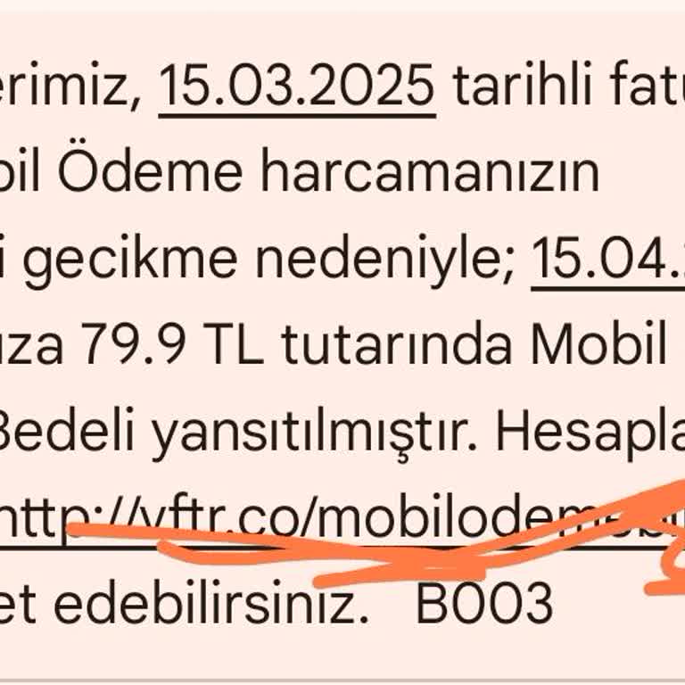 Geç Tahsilat Bedeli Şikayeti