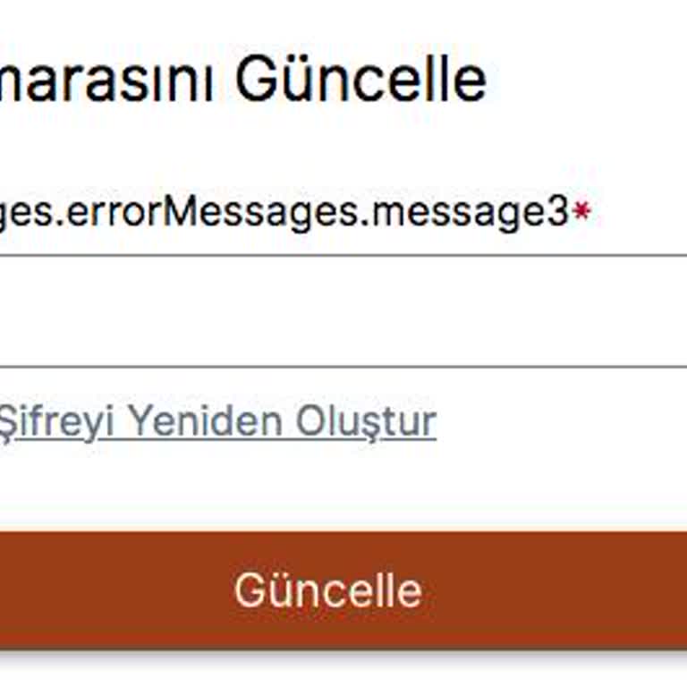 VFS Fransa Randevu Sisteminde OTP Sorunu