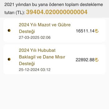 Destekleme Ödemesi Sorunu