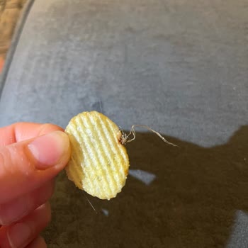 Ruffles Cips İçinden Çıkan Tanımlanamayan Cisim Ve Tad Sorunu