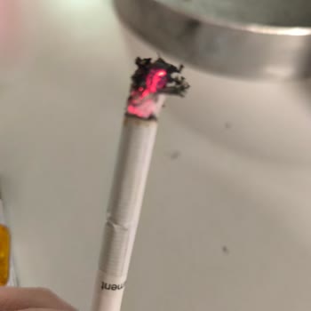 Parliament Night Blue: Tahta Parçası Mı İçiyoruz?