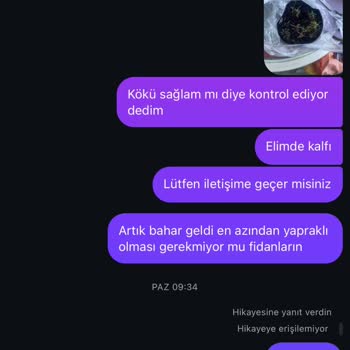 Sağlıksız Fidanlar Ve İletişim Sorunları