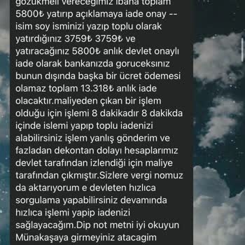 Güvenin Bedeli: Kedi Sahiplenme Sürecinde Yaşanan Hayal Kırıklığı