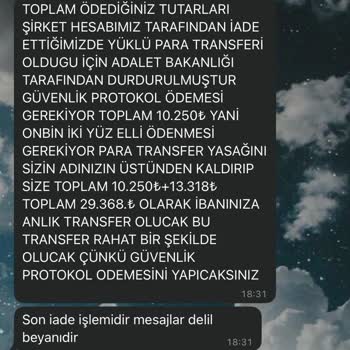 Güvenin Bedeli: Kedi Sahiplenme Sürecinde Yaşanan Hayal Kırıklığı