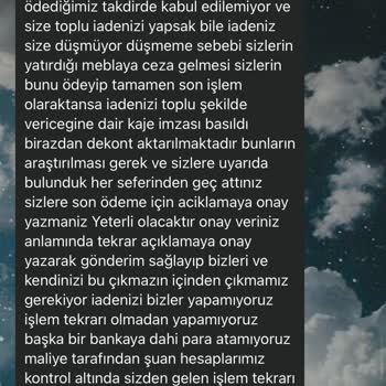 Güvenin Bedeli: Kedi Sahiplenme Sürecinde Yaşanan Hayal Kırıklığı