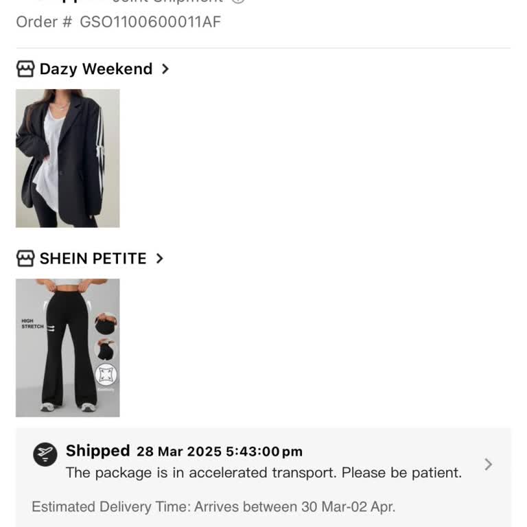 SHEIN Bestellung vom 23.03.2024, Lieferung verzögert, Statusanfrage
