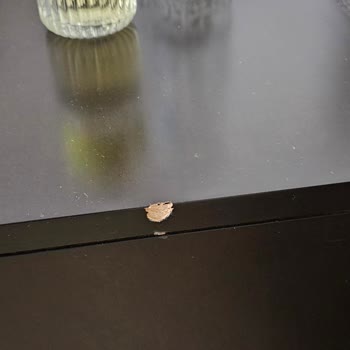 Hayatımın En Kötü Taşınma Deneyimi: Eşyalarım Mahvoldu