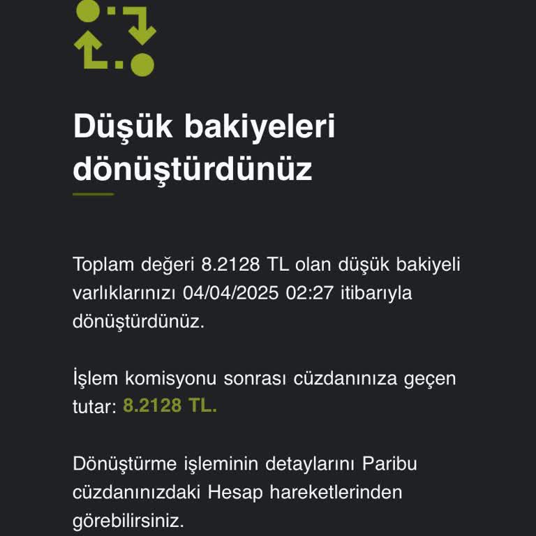 Paribu Hesabımda Dönüşüm Sorunu