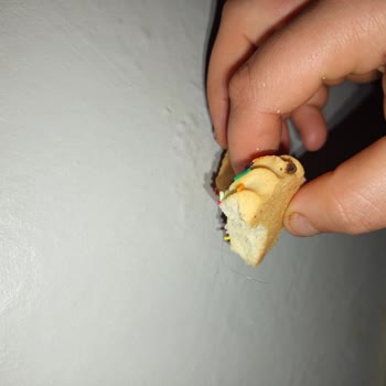 Bursa Kurabiye Atölyesi Kurabiyede Hijyen Problemi