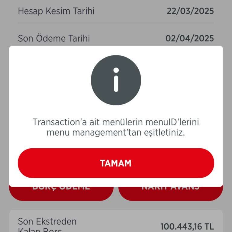 Ziraat Bankası Mobil Uygulama Sorunu: Çözüm Bulunamayan Para Transferi Hatası