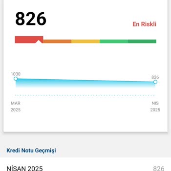 Findeks Puanındaki Ani Düşüş Sorunu