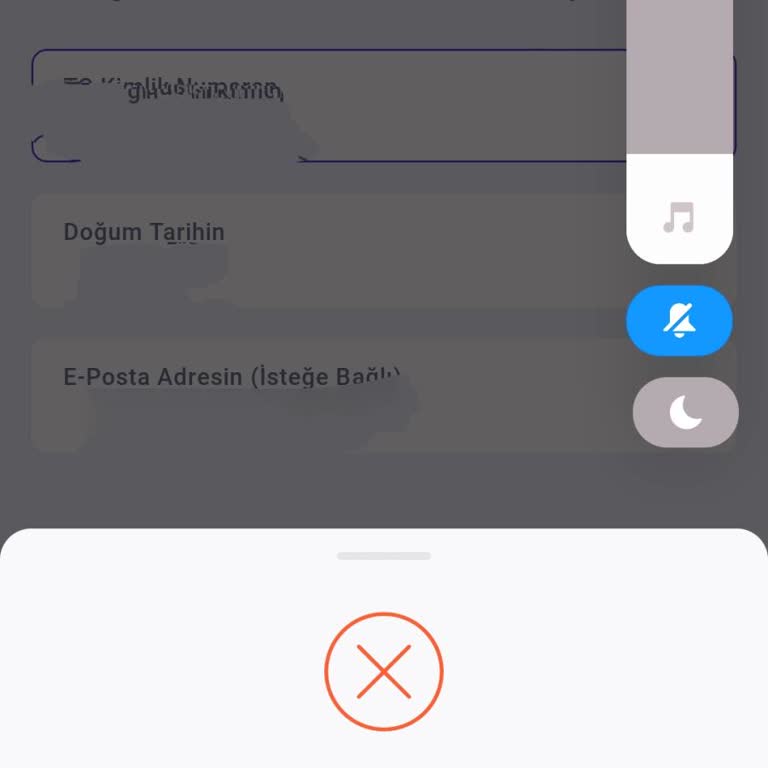 Hadi Uygulamasına Giriş Sorunu Ve Yetersiz Destek