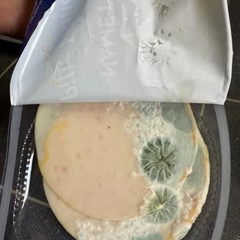 Son Kullanma Tarihi Geçmemiş Üründe Şok Edici Manzara