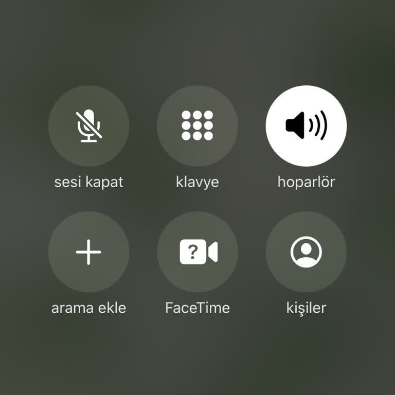 Birgündekargo İle İletişim Engeli: Hızlı Hizmet Sözleri Gerçek Mi?