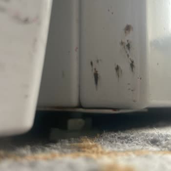 Profilo Çamaşır Makinesi Paslanma Sorunu Ve Servis Yanıtı