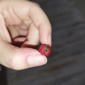 Dondurulmuş Meyvelerde Böcek Şoku!