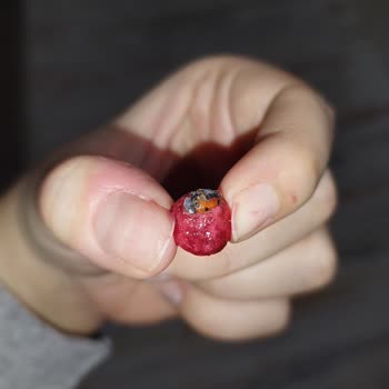 Dondurulmuş Meyvelerde Böcek Şoku!