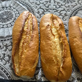 Bayat Ve Sert Ekmek Sorunu