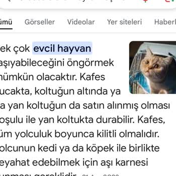 İlgisiz Müdür Ve Saygısız Şoförle Yaşanan Sorun