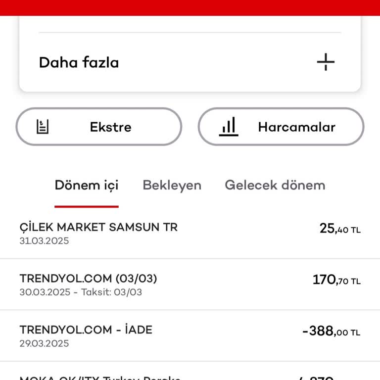 Kredi Kartı Bilgilerimle İzinsiz Alışveriş