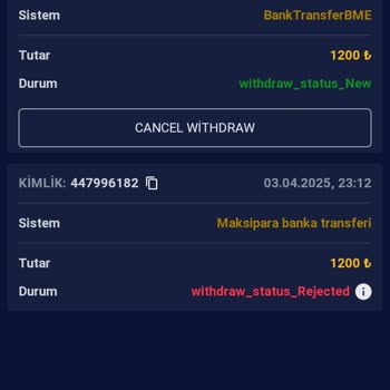 Ödeme Sorunu Ve Destek Erişimi