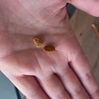 Yanıltıcı Paketleme Ve Kalitesiz Ürün Şikayeti