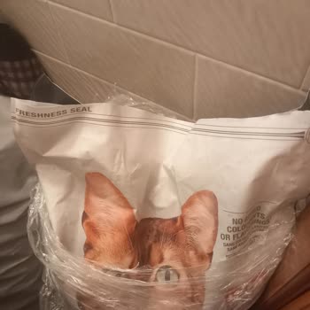 Yanıltıcı Paketleme Ve Kalitesiz Ürün Şikayeti