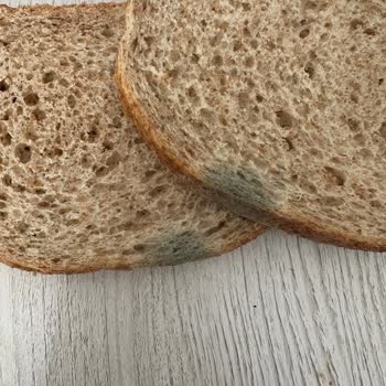 Getir'den Bayat Ekmek Ve Yetersiz Müşteri Hizmeti