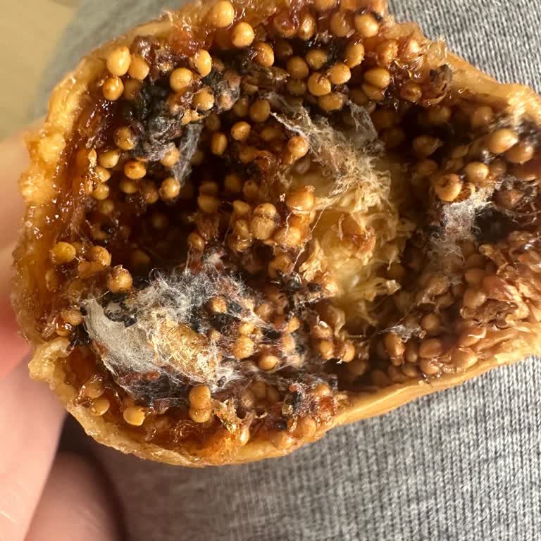 Küflü Kuru İncir Şoku: Harras Markasında Tekrarlayan Sorun