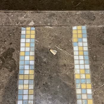 Sheraton Hotels Ataköy'de Temizlik ve Hizmet Sorunları