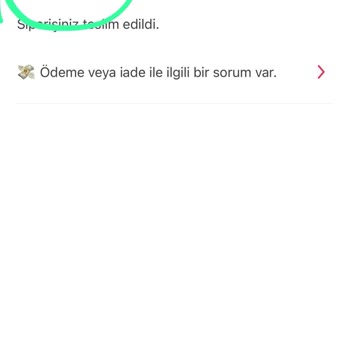 Yemeksepeti'nde Burger King Siparişi: Ne Yemek Var Ne Para!