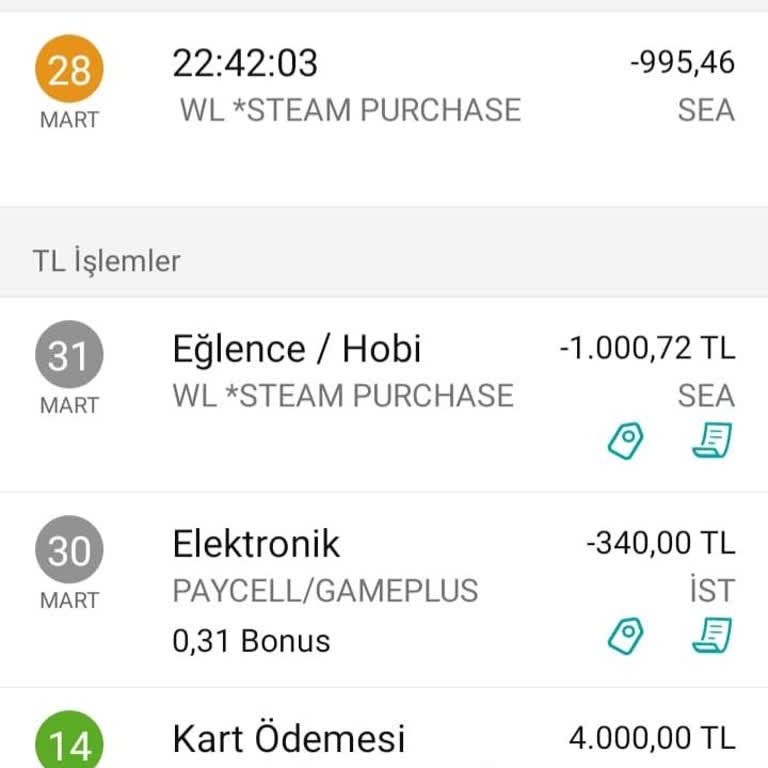 Hatalı Ödeme: Steam'de Beklenmedik Ücret Kesintisi