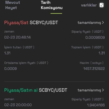 Onix Plattform plötzlicher Wertverlust bei SCBYC Coin nach Investition
