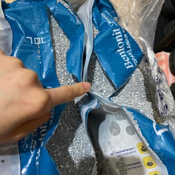 Patlak Kedi Kumu Ve İade Sürecinde Yaşanan Zorluklar