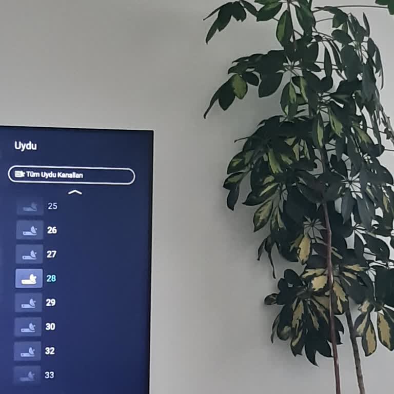 Philips TV'de Kanal İsimlerinin Kaybolması Sorunu