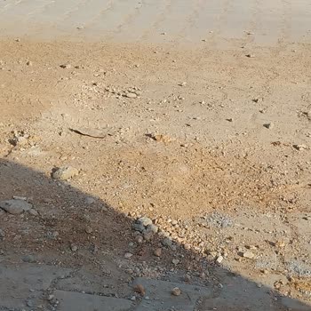 Adana Büyükşehir Belediyesi Mezarlıkta İhmalkarlık: Hayati Tehlike Ve Yaralanma Riski