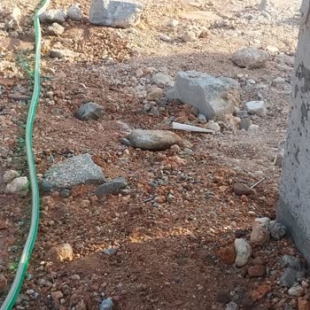 Adana Büyükşehir Belediyesi Mezarlıkta İhmalkarlık: Hayati Tehlike Ve Yaralanma Riski