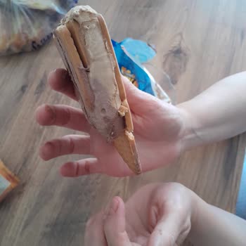 Yaz Sıcağında Hayal Kırıklığı: Hatalı Dondurma