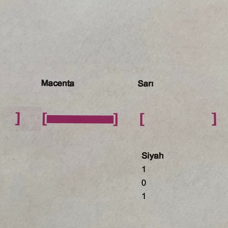 HP Yazıcıda Tek Renk Sorunu: Müşteri Hizmetlerinden Destek Bekleniyor