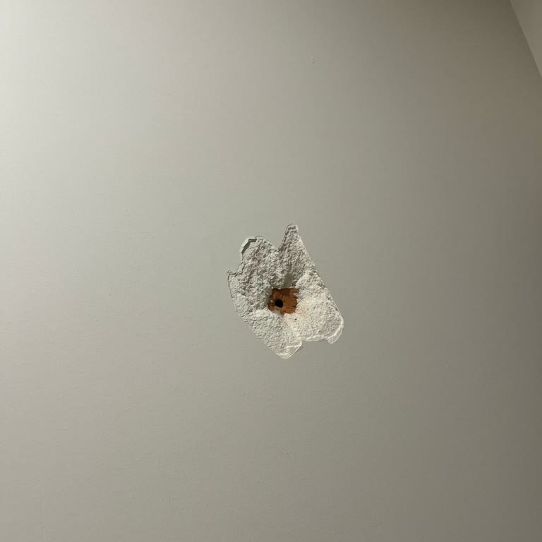 IKEA Montaj Hizmeti Sonrası Duvar Hasarı Ve İletişim Sorunu