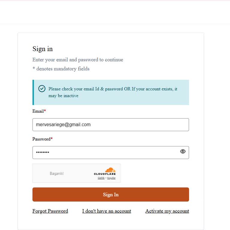 VFS Global Web Sitesi Altyapı Sorunları İle Randevu Kabusu
