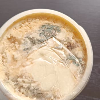 Migros'tan Aldığım Peynir Küflü Çıktı
