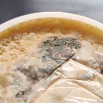 Migros'tan Aldığım Peynir Küflü Çıktı