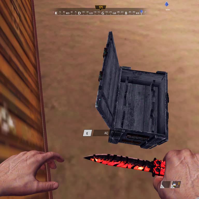 Zula'da Sık Karşılaşılan Bug Sorunu