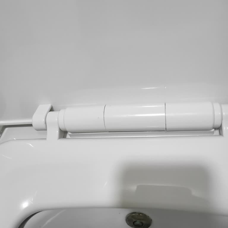 Yedek Parça Eksikliği: Klozet Kapağı Menteşe Sorunu